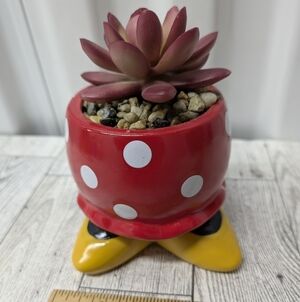 Disney Red Polka Dot Planter with Succulent